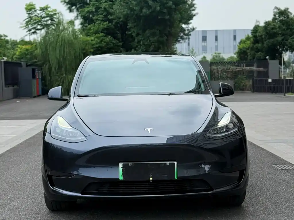 Tesla Model Y 2024 — фото 2