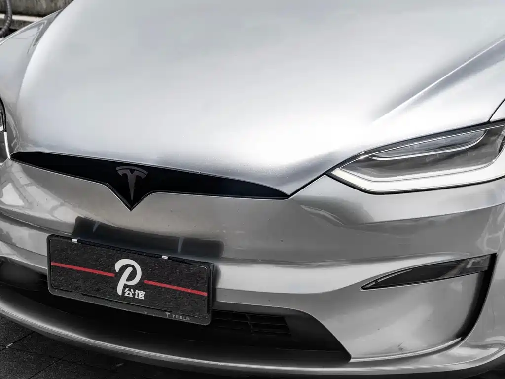 Tesla Model X 2023 — фото 8
