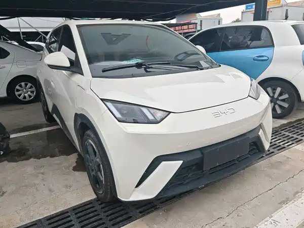 BYD Seagull 2024