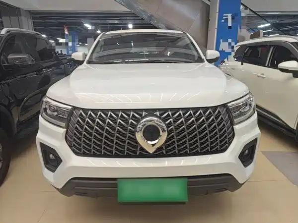 Great Wall Poer 2025