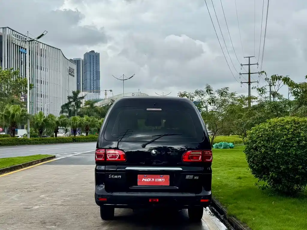 Dongfeng Lingzhi 2024