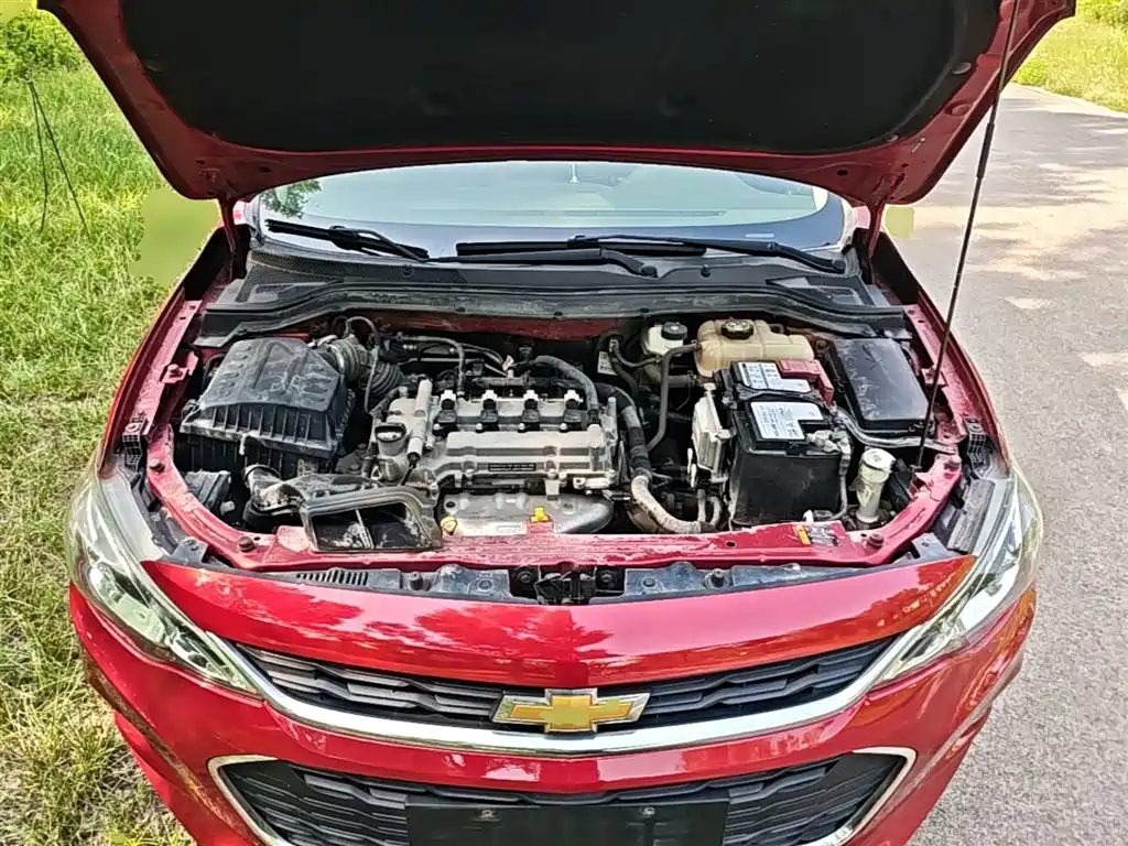 Chevrolet Cavalier 2017 — фото 20