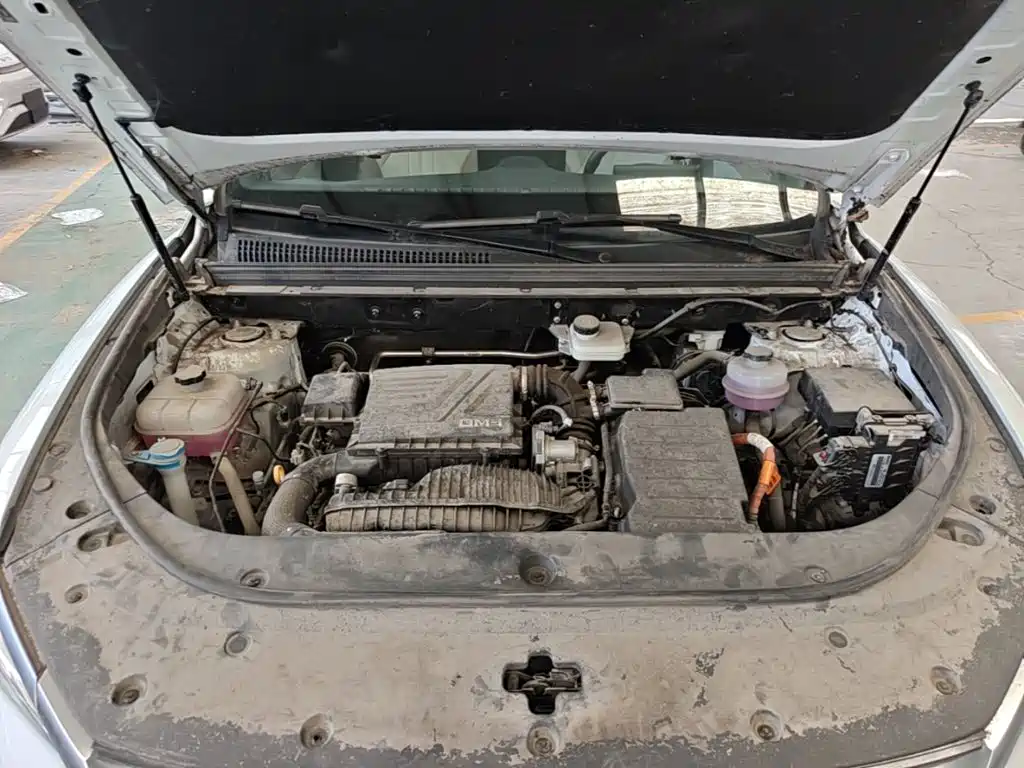 BYD Song Pro New Energy 2024 — фото 20
