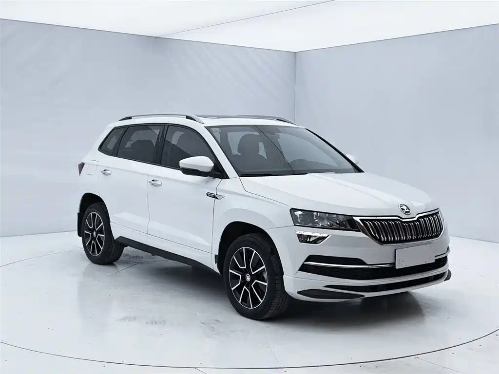 Skoda Karoq 2024 — фото 3