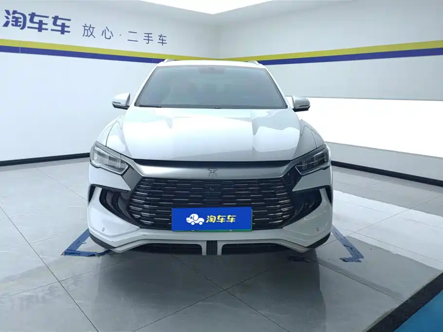 BYD Pro New Energy 2024 — фото 2