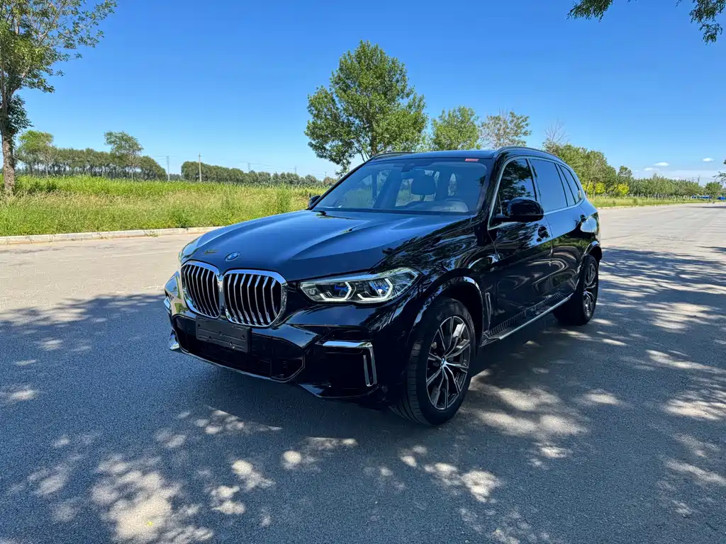 BMW X5 2022