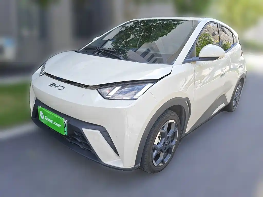 BYD Seagull 2024