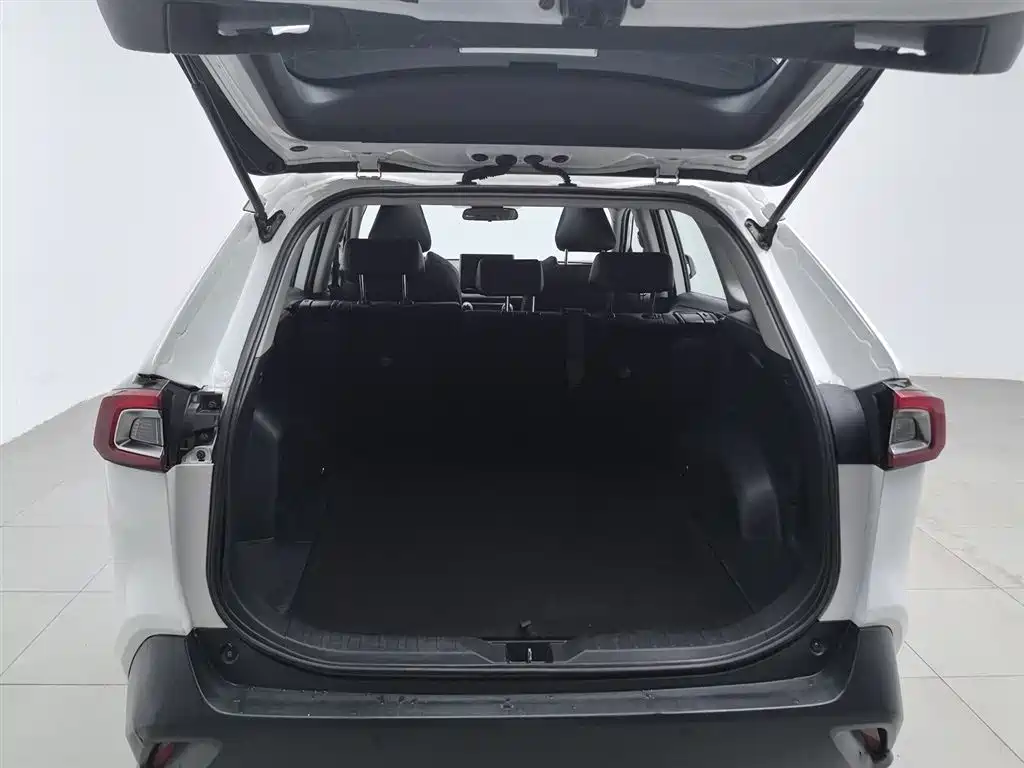 Toyota Wildlander 2021 — фото 16