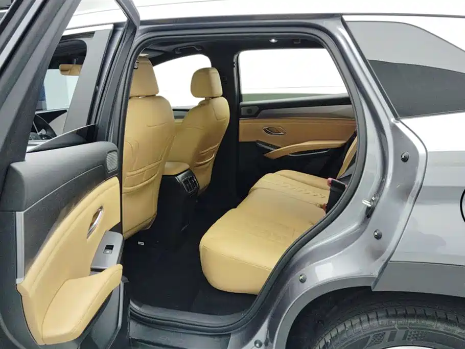 BYD L DM-i 2024 — фото 11