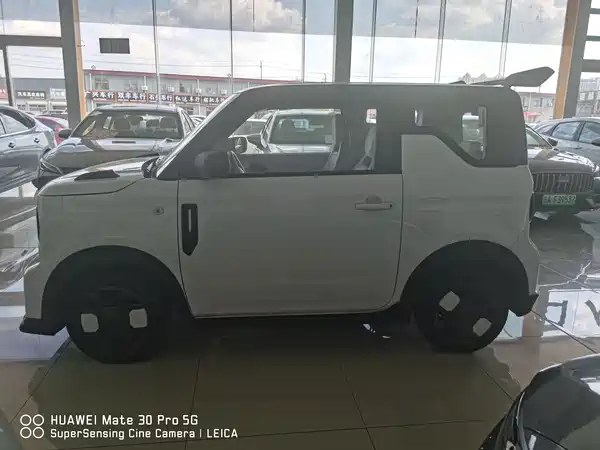 Geely Galaxy Panda 2026