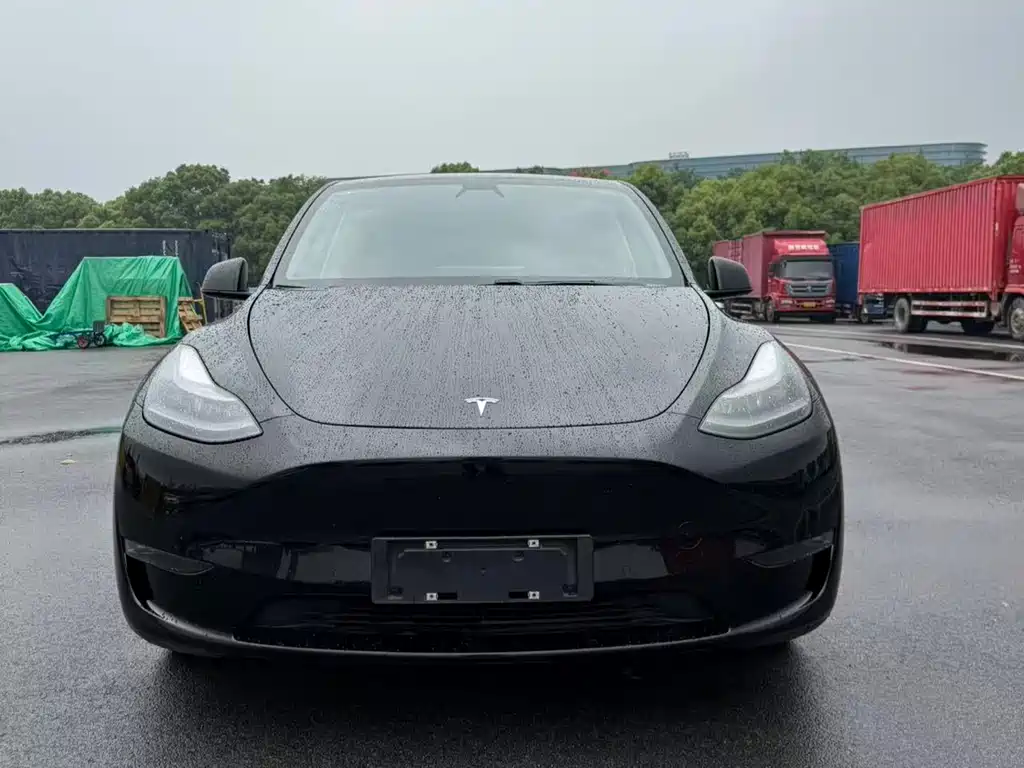 Tesla Model Y 2021 — фото 1
