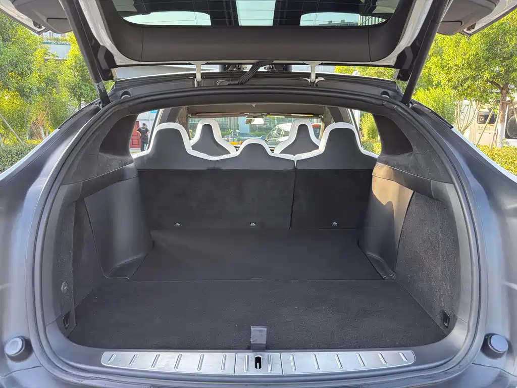Tesla Model X 2017 — фото 16