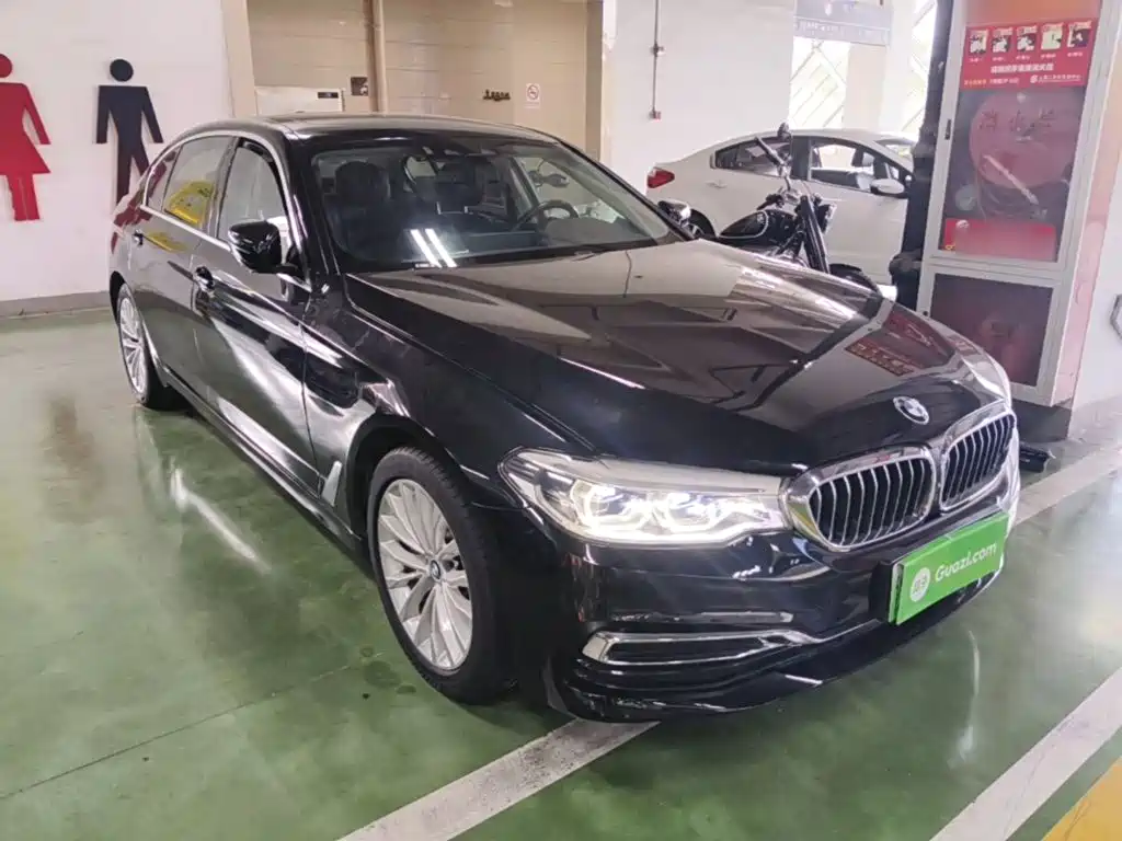 BMW 5 Series New Energy 2020