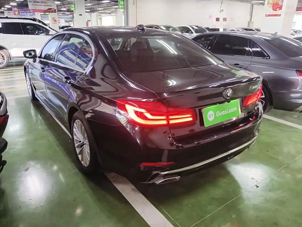BMW 5 Series New Energy 2020
