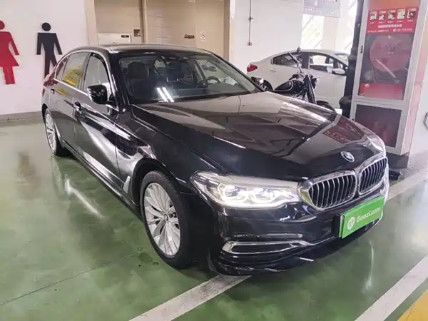 BMW 5 Series New Energy 2020