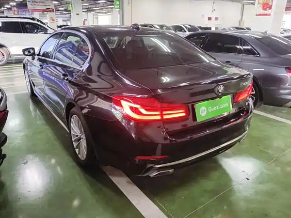 BMW 5 Series New Energy 2020