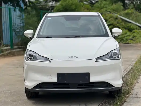 Neta V 2022