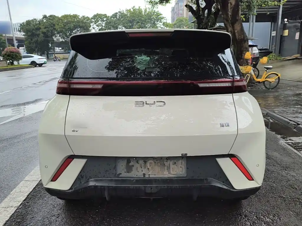 BYD Seagull 2025