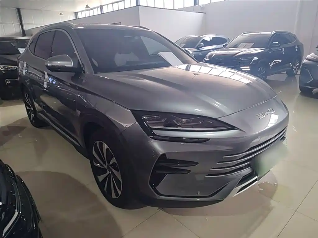 BYD PLUS New Energy 2024 — фото 4