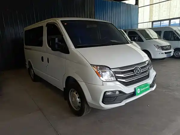 Maxus V80 2024