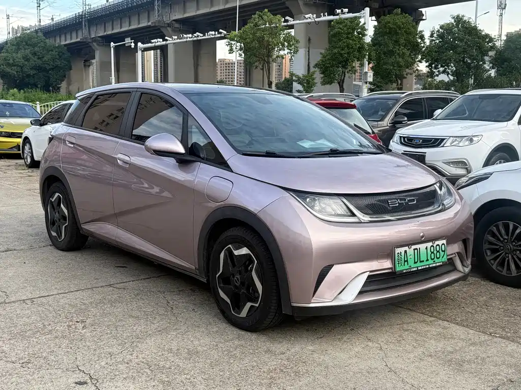 BYD Dolphin 2022