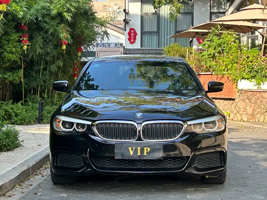 BMW 5 Series 2019 — фото 11