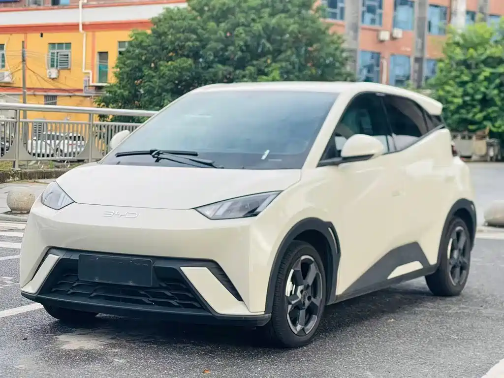 BYD Seagull 2024