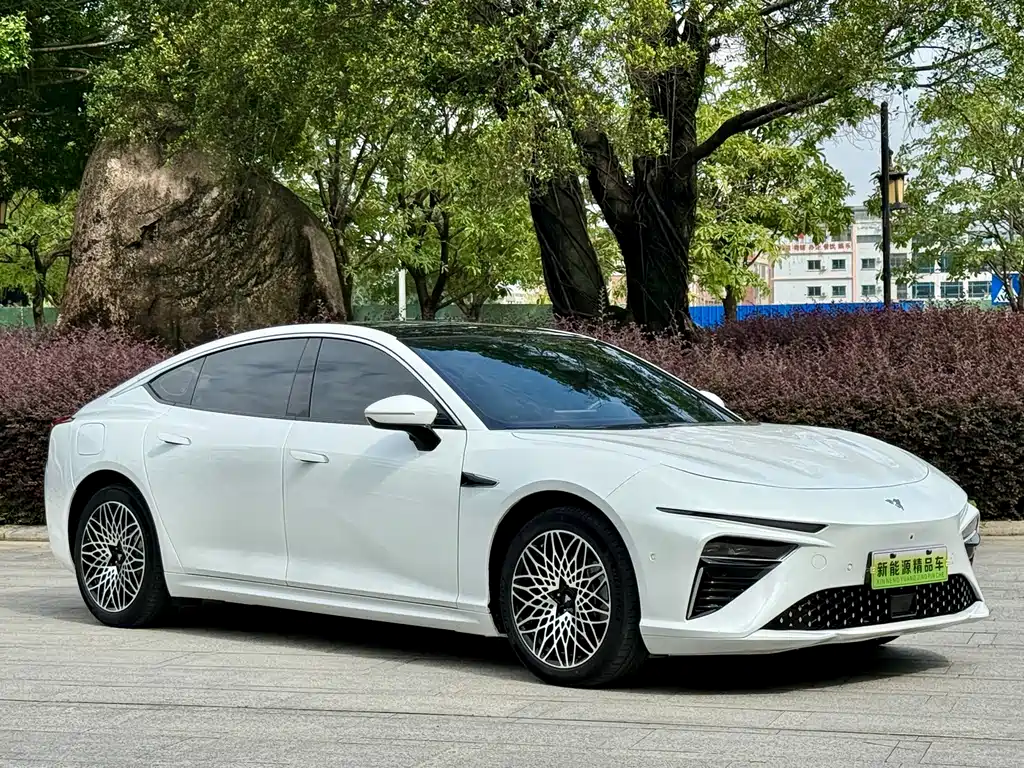 Neta S 2024