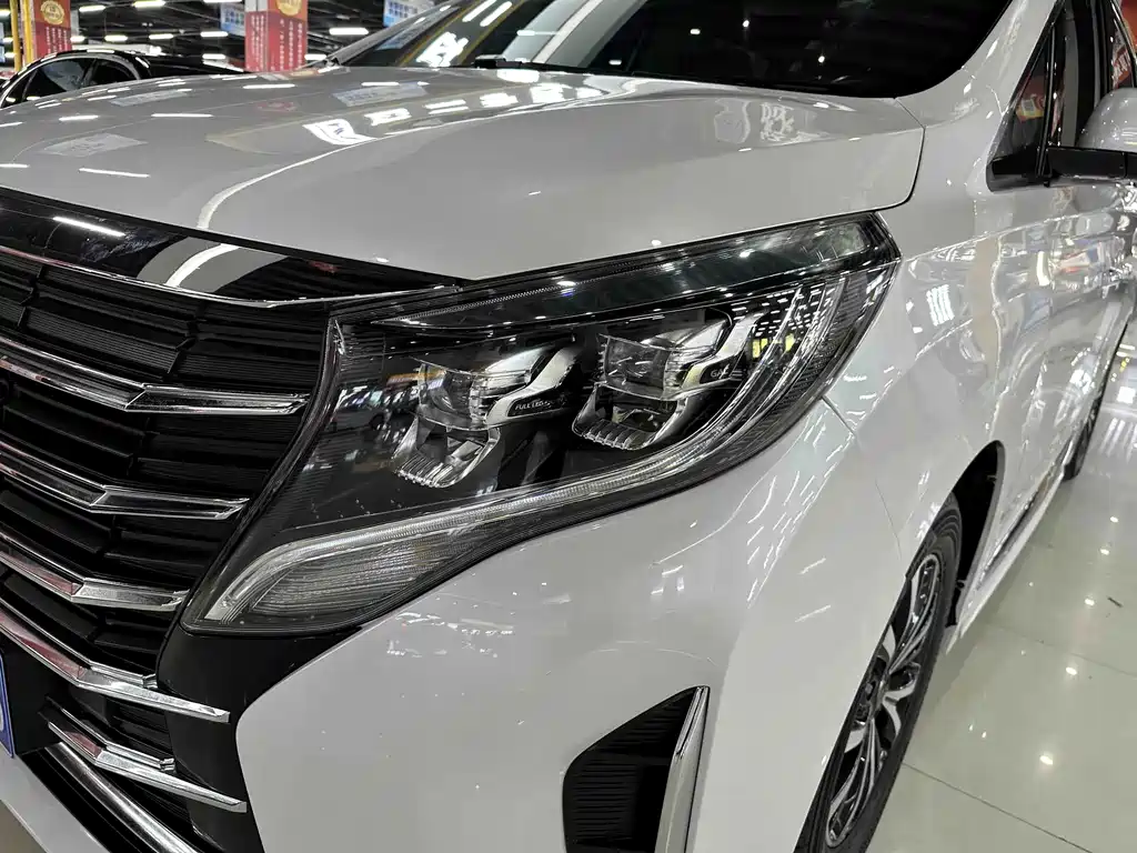 GAC Trumpchi M8 2023 — фото 14