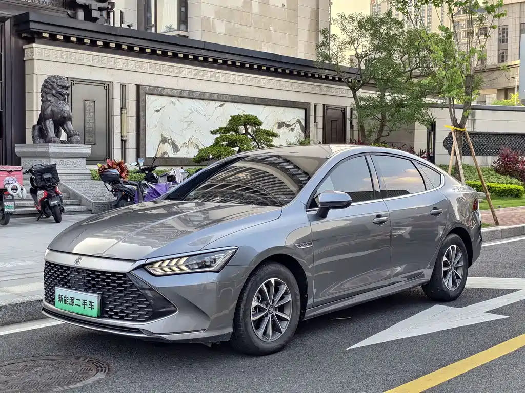 BYD Qin PLUS 2024 — фото 1