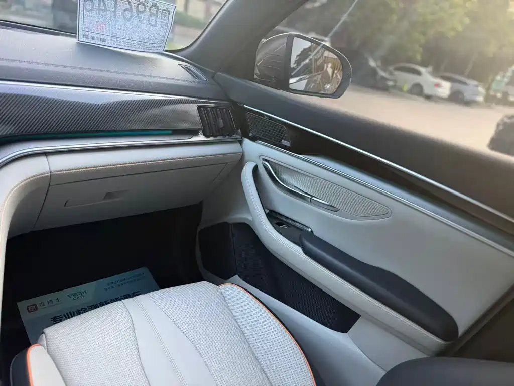BYD PLUS New Energy 2022 — фото 14