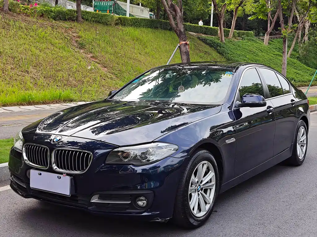 BMW 5 Series 2014 — фото 2