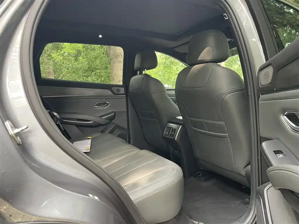 BYD L DM-i 2025 — фото 15