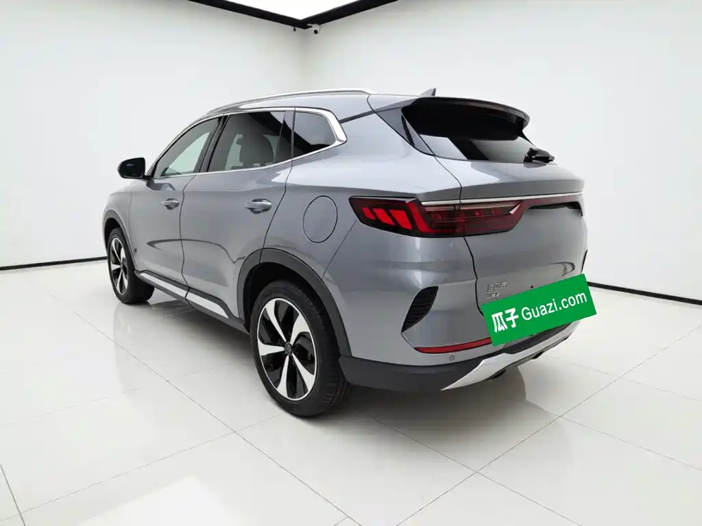 BYD Song PLUS New Energy 2022 — фото 4