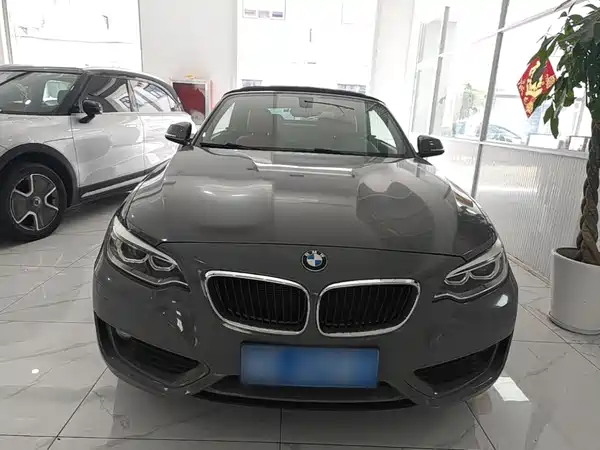 BMW 2 Series 2017