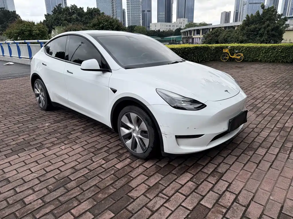 Tesla Model Y 2021 — фото 3