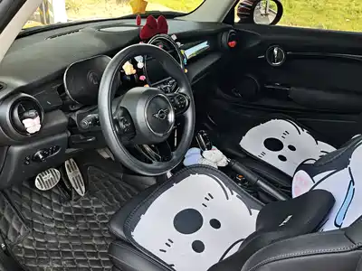 MINI MINI 2020