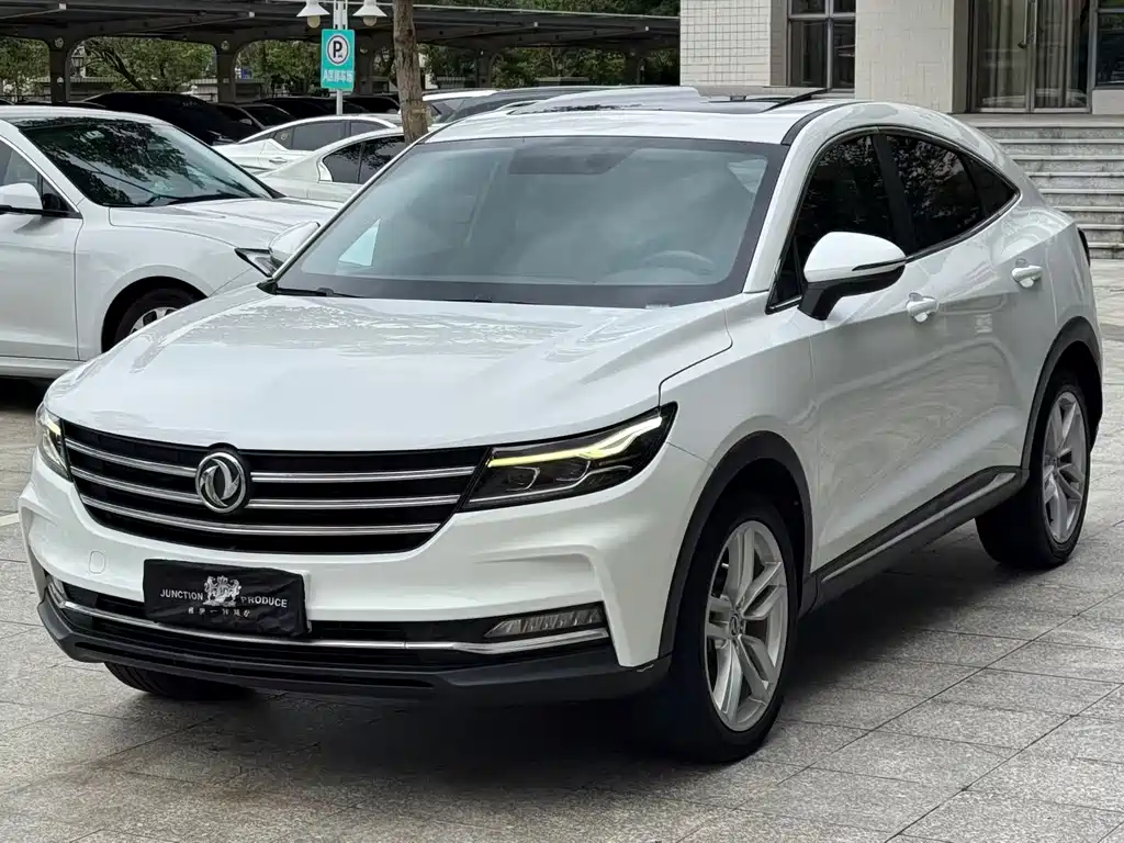 Fengguang ix5 2019