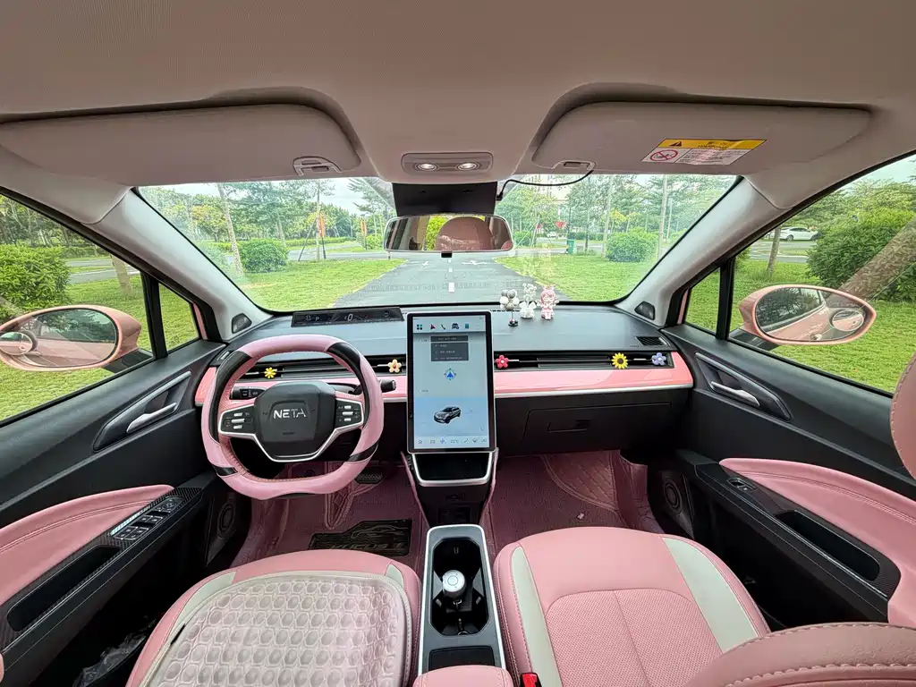 Neta V 2022