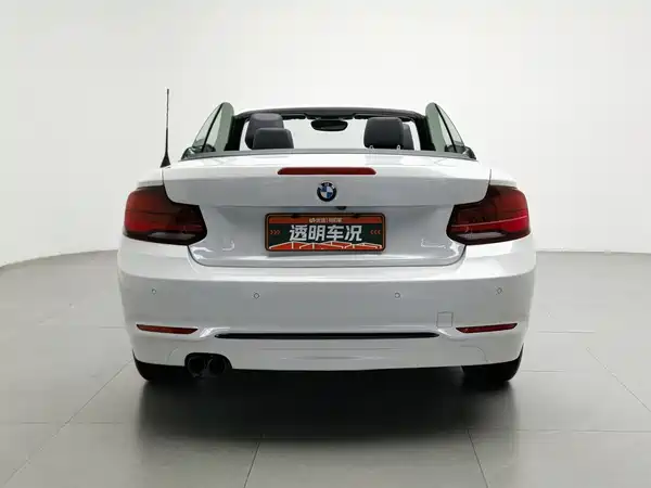 BMW 2 Series 2019