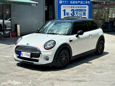MINI MINI 2017