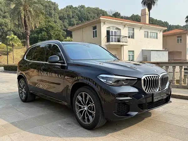BMW X5 2021