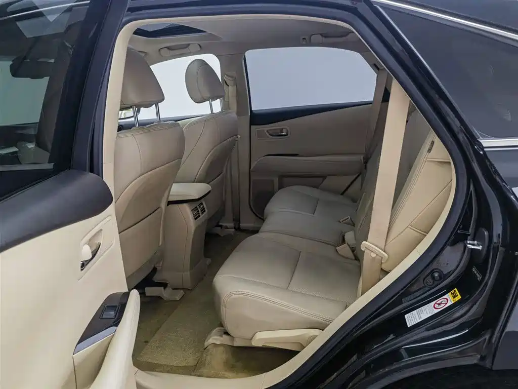 Lexus RX Classic 2010 — фото 15
