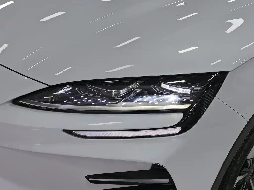 BYD PLUS New Energy 2024 — фото 12