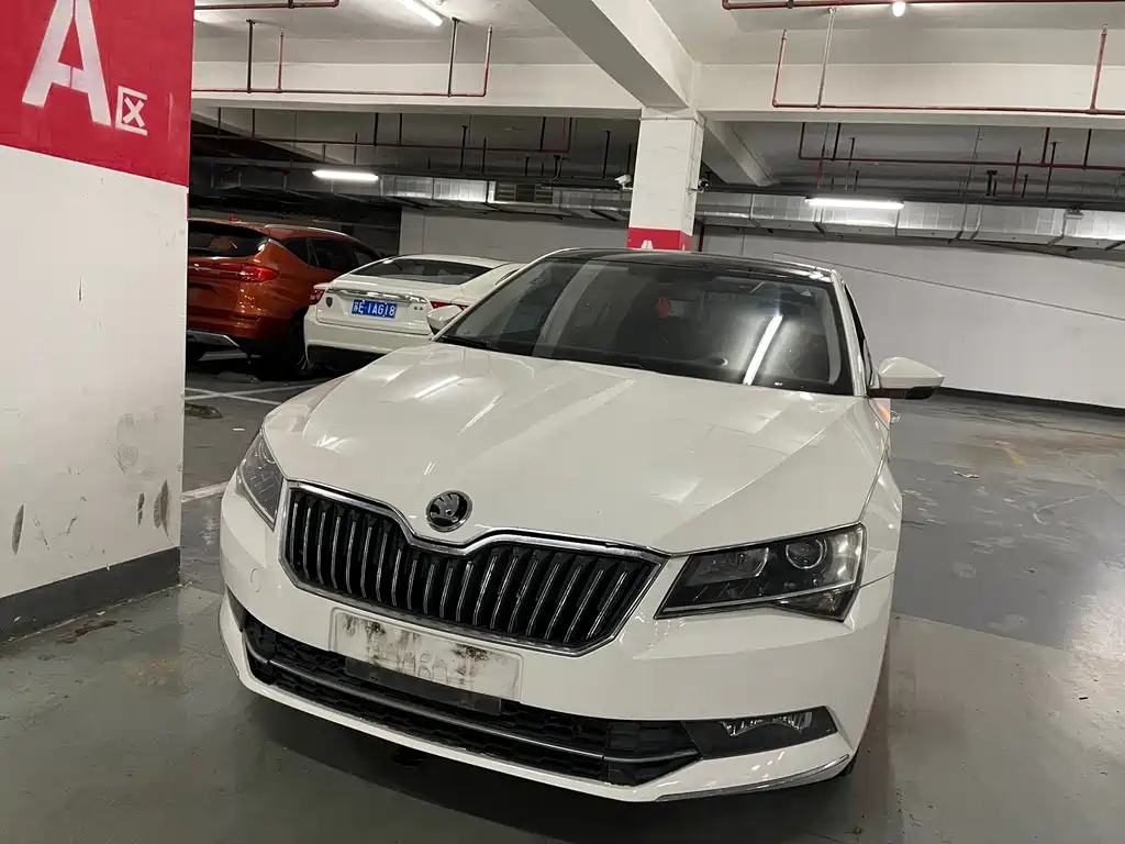 Skoda Speedy 2017