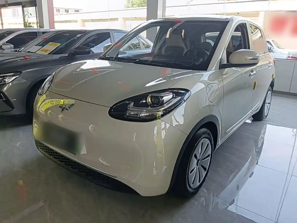 Wuling Bingo 2024