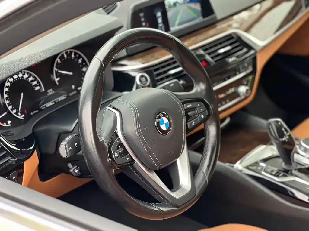BMW 5 Series 2018 — фото 12