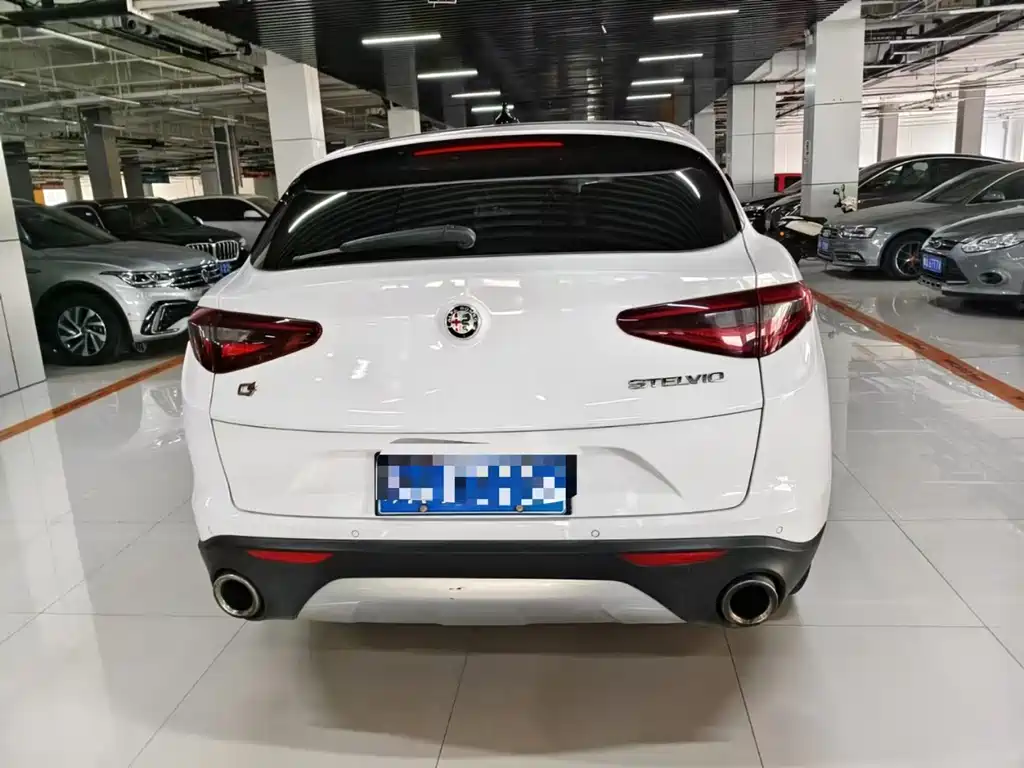 Alfa Romeo Stelvio 2019 — фото 10