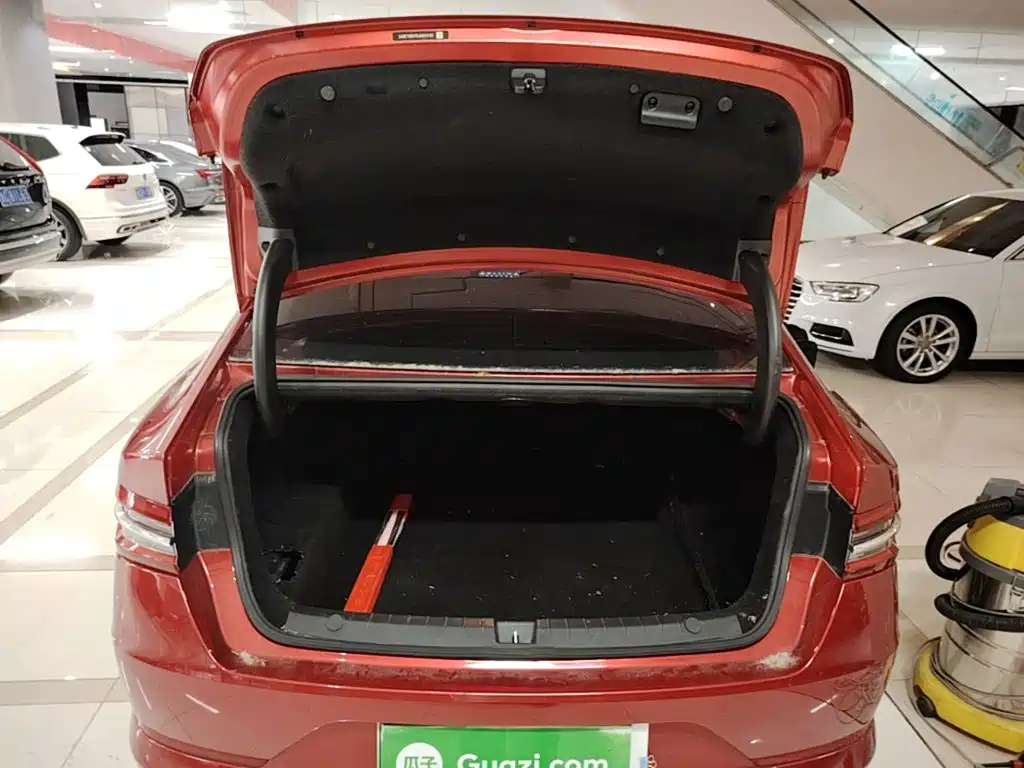 BYD Qin Pro New Energy 2020 — фото 19