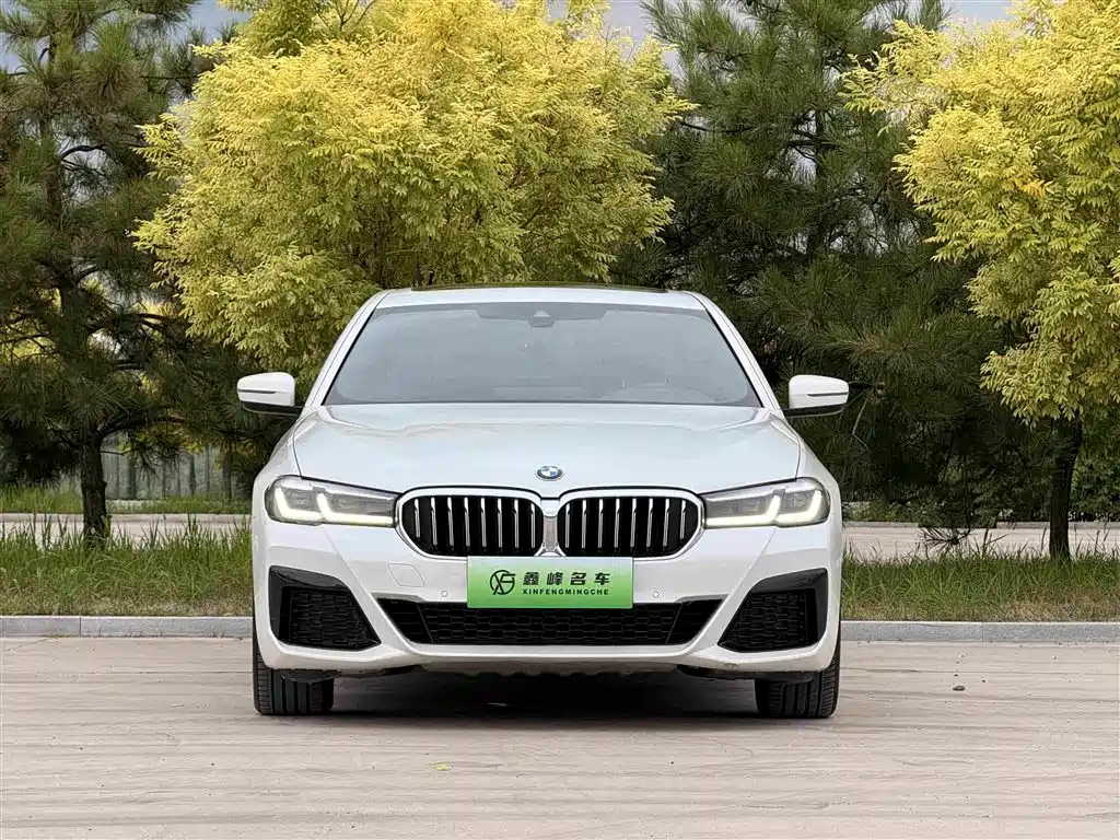 BMW 5 Series New Energy 2021